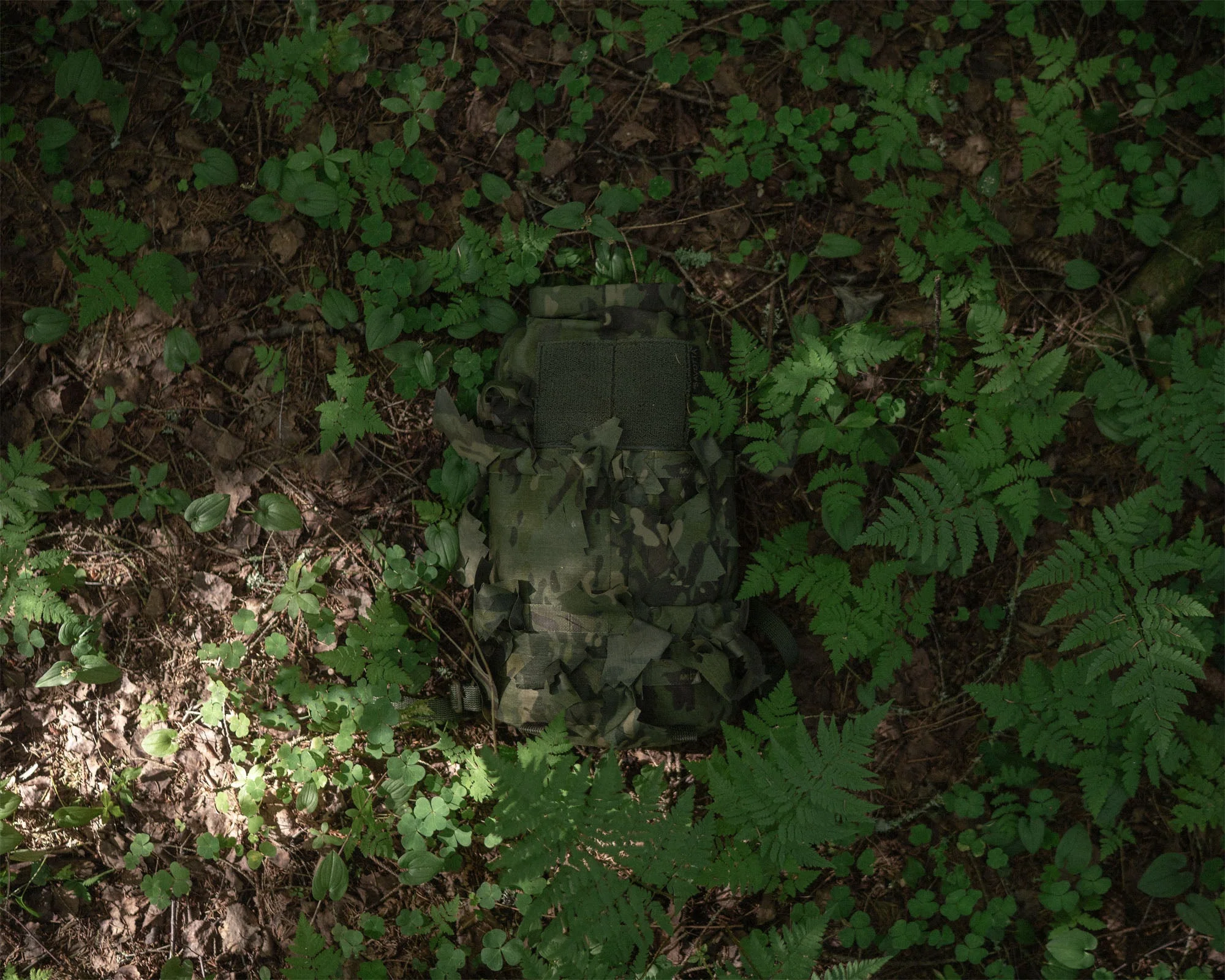 Pikkukuva 6
